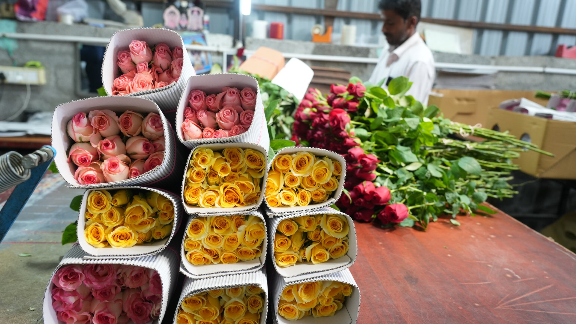 End-to-end supply for florists and wholesale distributors.